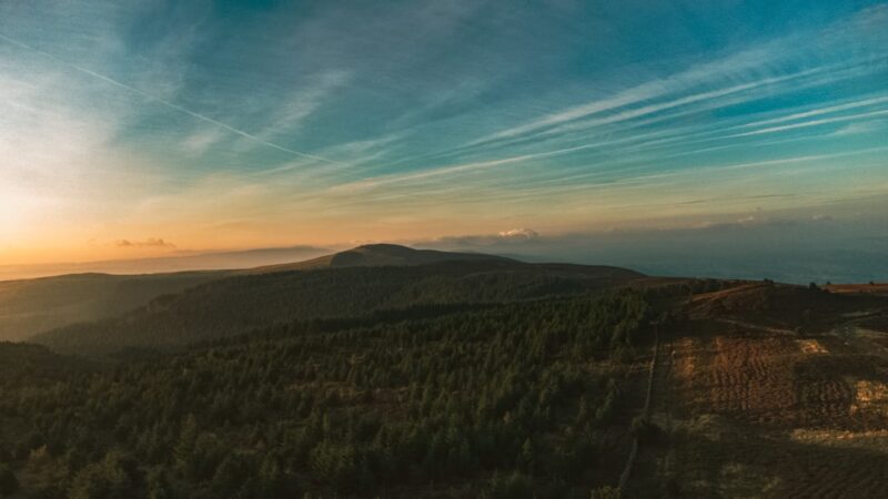 Forstå Faren ved Usynlig Skimmelsvamp i Dit Hjem