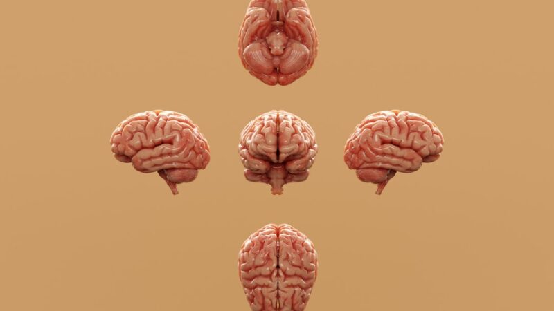 Neuropati Naturligt: Hvordan Det Påvirker Hverdagen