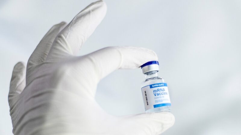Vaccination haderslev naturligt